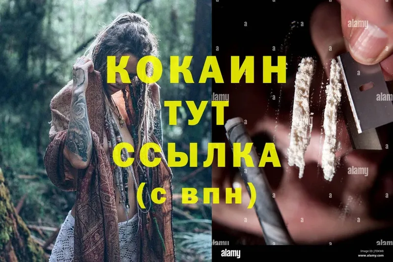 сколько стоит  Касли  КОКАИН FishScale 