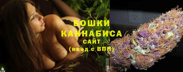 PSILOCYBIN Богданович